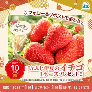 JAふじ伊豆のイチゴ