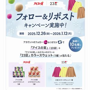 「アイスの実 」10袋+カラースウェット