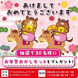 お年賀おかしセット