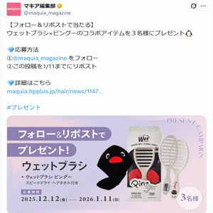 ウェットブラシ×ピングーのコラボアイテム