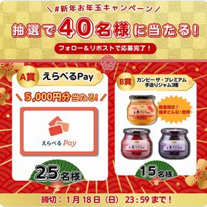 えらべるPay 5,000円分　他