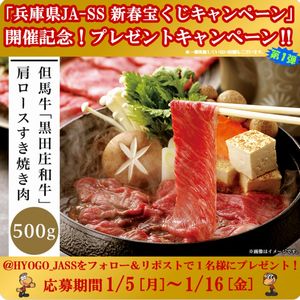 黒田庄和牛肩ロースすき焼き肉(500g)