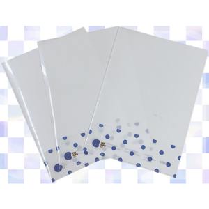 FM GIFU クリアファイル1枚