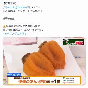 伊達のあんぽ柿(蜂屋柿)1箱