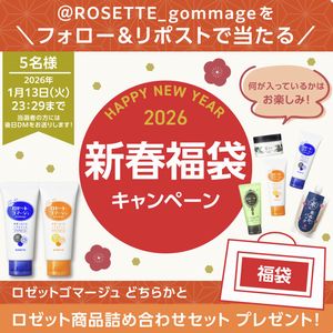 ロゼット商品詰め合わせセット