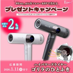 ハイパードライヤー「ゴリラのひとふき」