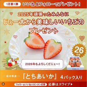 栃木県産の新品種いちご「とちあいか」