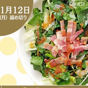 日本食研 ザ・ドレッシング3本セット