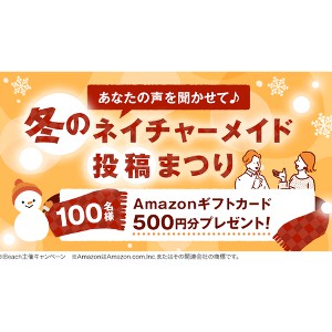 Amazonギフト券500円分
