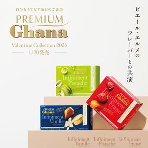 プレミアムガーナ新作 3種詰め合わせ