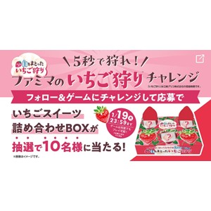 いちごスイーツ詰め合わせBOX