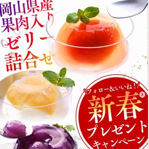 岡山県産果肉入りゼリー詰合せ