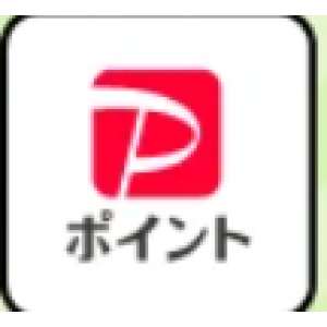 PayPayポイント1,000pt