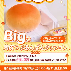 Bigな薄皮つぶあんぱんクッション