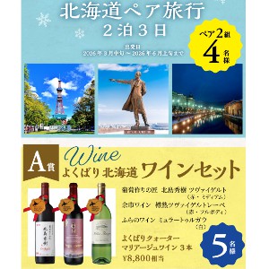 北海道ペア旅行2泊3日 他