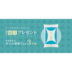 あおもり米「青天の霹靂」5kg