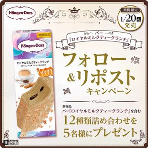 ハーゲンダッツ12種類詰め合わせ