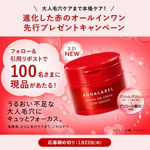 アクアレーベル 毛穴ケアオールインワン