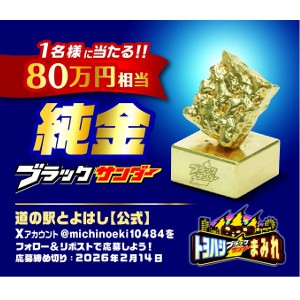純金ブラックサンダー80万円相当