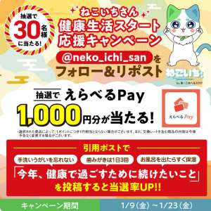 選べるPay1,000円分