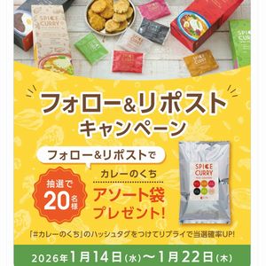 カレーせんべい「カレーのくち アソート袋」