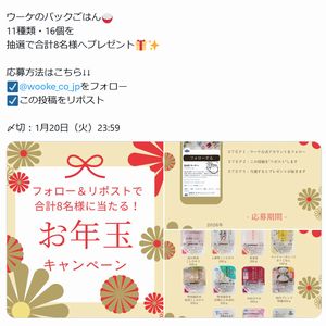 ウーケのパックごはん 11種類・16個