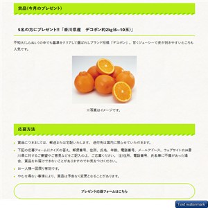 香川県産デコポン 約2kg(6～10玉)