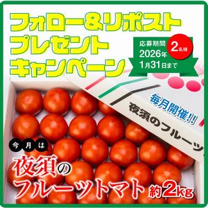 「夜須のフルーツトマト」約2kg