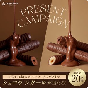 ヨックモック「ショコラ シガール」