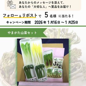やまがた山菜セット