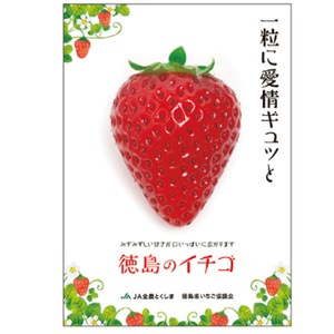徳島県産 さくらももいちご 約650g 他