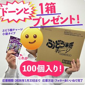 ぶどう糖チャージ 1箱100個入り