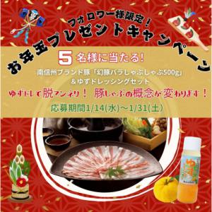 南信州ブランド豚＆ゆずドレッシングセット