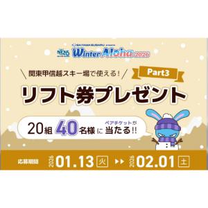 関東甲信越スキー場リフト券