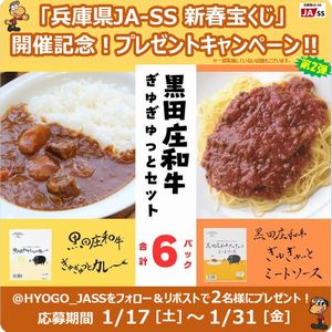 黒田庄和牛ぎゅぎゅっとセット