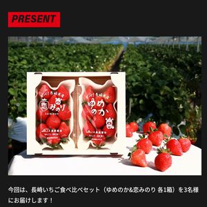 長崎いちご食べ比べセット
