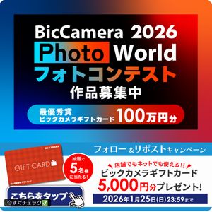 ビックカメラギフトカード5,000円分