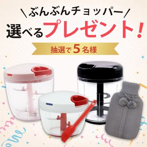 食洗機対応ぶんぶんチョッパー　他
