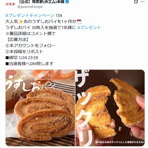 うずしおパイ 30枚入