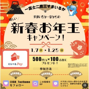 えらべるPay500円分