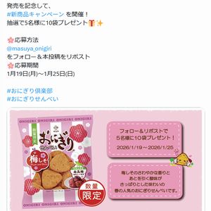 おにぎりせんべい梅しそ 10袋