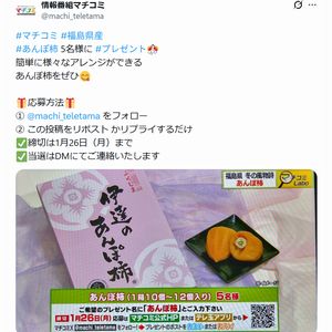 福島県産 あんぽ柿