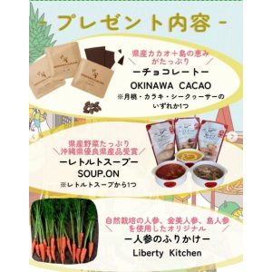 おきなわ食材の詰め合わせセット