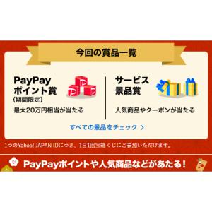 PayPayポイント20万円相当　他