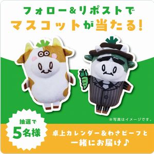 わさビーフ 1箱+マスコット　他