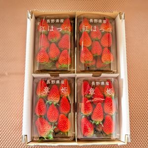 塩田東山観光農園「いちごセット」