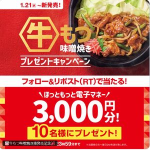 ほっともっと 電子マネー3,000円分