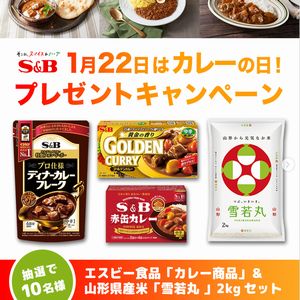 カレー商品セット+山形県産米「雪若丸」