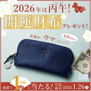 ディープブルーシェルウォレット