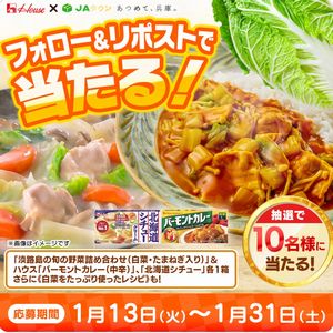 淡路島の旬野菜セット　他